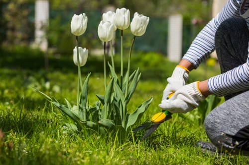 Stump grinding and tree removal service in Leytonstone