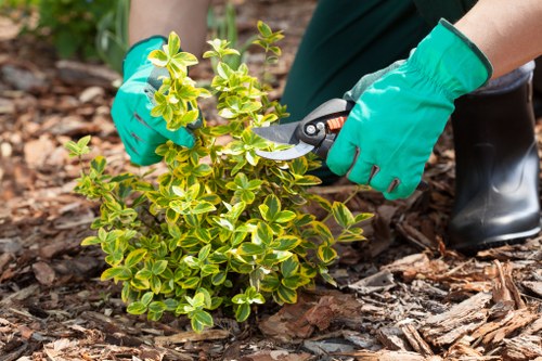 Load-based and cubic-yard garden waste rates in Leytonstone