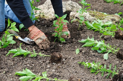 Transparent pricing for Gardeners Leytonstone