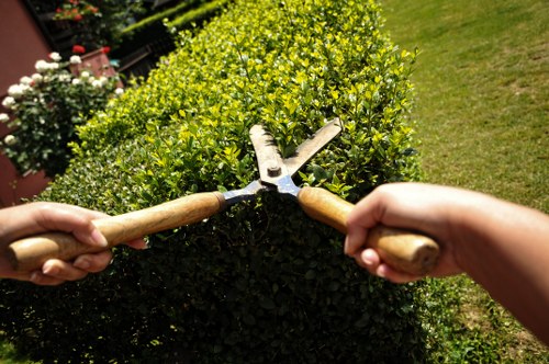 Balanced planting and lawn care in Leytonstone garden