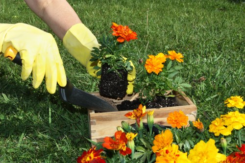 Eco-friendly garden recycling and waste separation in Leytonstone