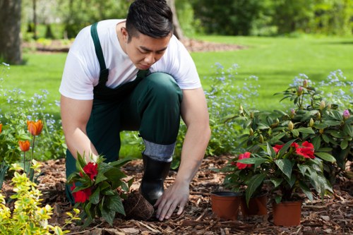 Seasonal lawn maintenance in a Leytonstone outdoor space