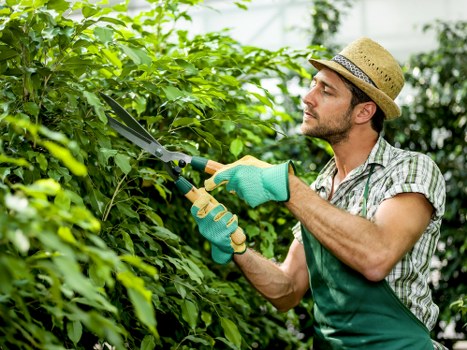 Screen-reader friendly website content for Leytonstone gardening