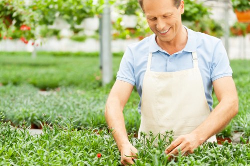 Marketing cookie personalization concept for a gardening website