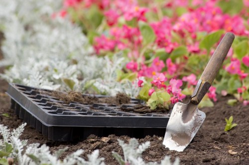 Professional lawn mowing finishing a tidy lawn in Leytonstone