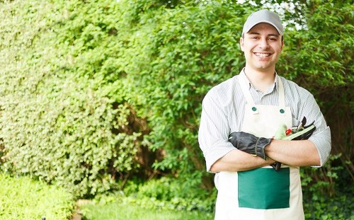 Professional garden maintenance in Leytonstone with planting and lawn care
