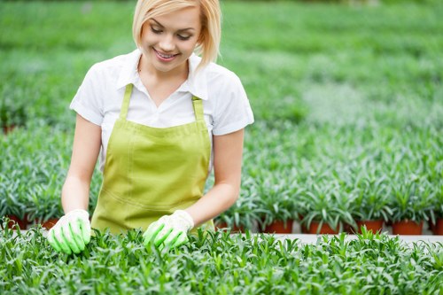 Professional hedge cutting equipment used for Leytonstone garden care