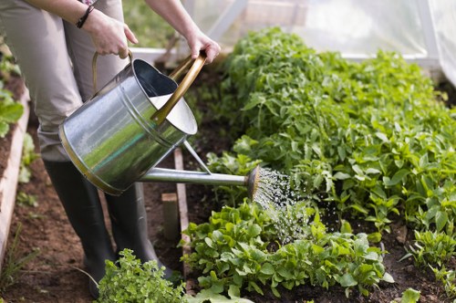Professional lawn and hedge care in a Leytonstone garden
