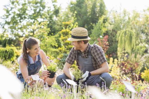 Planning a landscaping project in Leytonstone with garden layout ideas