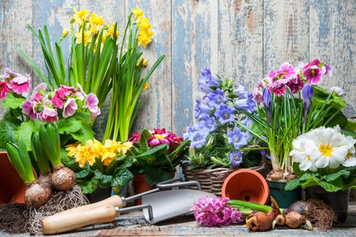 Seasonal garden maintenance work in Leytonstone with planting beds