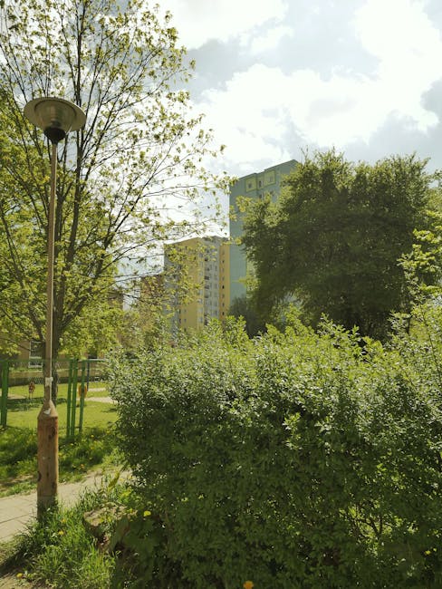 A peaceful urban garden featuring a variety of greenery, including a large, bushy shrub with small white flowers in the foreground, and several tall trees with fresh, light green leaves towards the ba