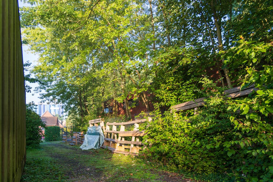 A peaceful urban garden featuring a variety of greenery, including a large, bushy shrub with small white flowers in the foreground, and several tall trees with fresh, light green leaves towards the ba